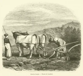 Basque Plow