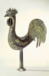 Cock