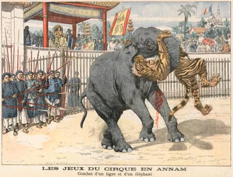 Combat Between a Tiger and an Elephant