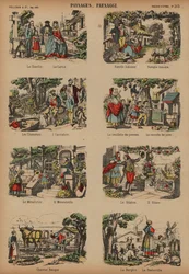 Countryside Scenes