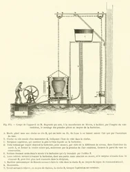 Section of M. Regnault