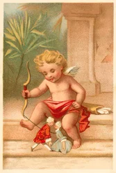 Cupid
