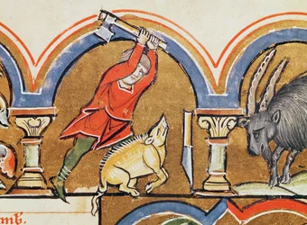 December, Sacrifice of a Pig, from the Psalter of Saint Elisabeth