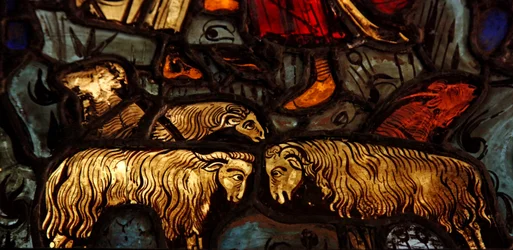 Sheep from the Annunciation to the Shepherds (ex Varennes-Jarcy - originally from the Abbey de Gercy?)