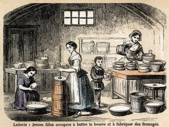 Description of the various jobs and sheep products: young dairy farmers making butter and cheeses in a dairy. Plate 
