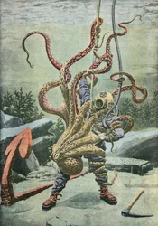 Diver attacked by an octopus