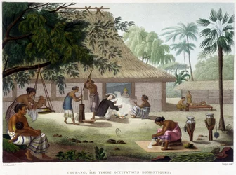 Domestic Occupations in Coupang, Timor Island