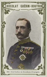 Don Carlos of Bourbon, Spain