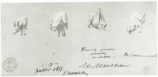 Drawing for the Restoration of the Gargoyles of Notre Dame, 1855