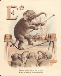 E: Elephant, equilibrist intrepid elephant, agile and full of grace, barely relax the rope in space