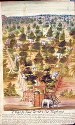 Elephant Hunt in Siam, from an account of the Jesuits in Siam, 1688