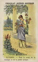 Euterpe