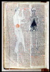 A Man and a Skeleton, from a Medical Treatise by Abul Qasim Khalaf ibn al-Abbas al-Zahrawi (Abulcasis) Translated by Gerard de Cremone
