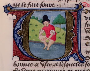Leeching, from Traite de Medecine by Aldebrande de Florence, 1356