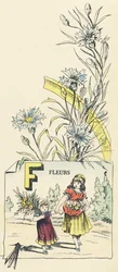 F: Flowers