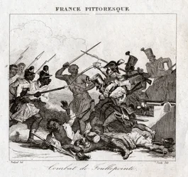 Fight in Madagascar