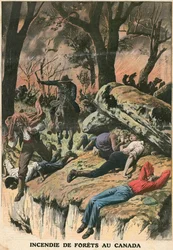 Fire in the Forests of Canada