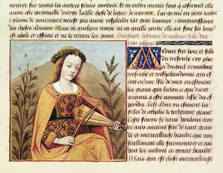 Woman Playing a Viol, from 