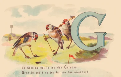The Lacrosse is the game of the Boys; Great is at this game the joy of birds