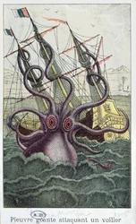 Giant Octopus, illustration from The Natural History of Mollusks by Denys-Montfort, c. 1802-03