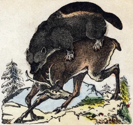 Glutton. Engraving in 