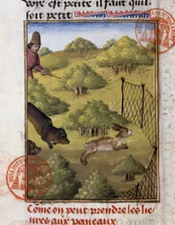Hare Hunting - in Hunting Book of Gaston Phoebus, Count of Foix, Lord of Béarn