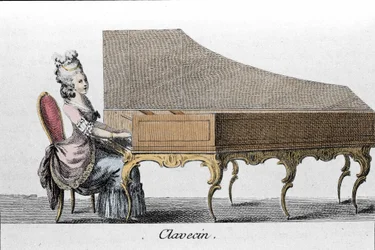 Harpsichord player