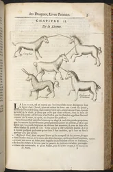 Histoire générale des Drogues, traitant des plantes, des animaux et des minéraux by Pierre Pomet