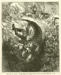 Tiger Stories (engraving)