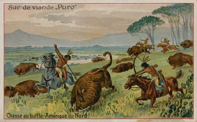 Hunting Buffalo in North America