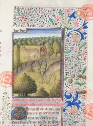 Huntsman Concealing Himself Behind a Decoy while Hunting a Stag, from the Livre de la Chasse by Gaston Phebus de Foix (1331-91)
