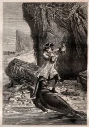 I Shoved My Spade in His Chest: Woodes Rogers Attacked by a Marine Dog (Seal) on One of the Galapagos Islands in the Pacific Ocean in 1709 - Illustration Taken from 