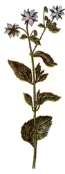 Illustration for 