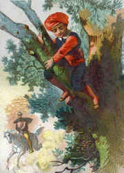 Illustration for the Tales of the Thousand and One Nights: Ali Baba seeing a troop of thieves coming from afar into the forest hides in a tree