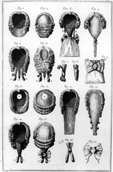 Illustrations of various wig fashions, plate VII, vol.8, from Encyclopedie des Sciences et Metiers by Diderot, published c.1770