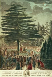 Inauguration of the Bust of Carl Linnaeus in the Jardin des Plantes, Underneath the Cedar of Lebanon Which He Planted in 1646, 23rd August 1790