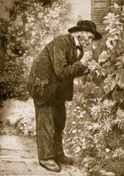 Jean-Henri Fabre observing insects