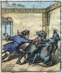 Lemuel Gulliver fights rats in the land of the giants of Brobdingnag. Illustration for "Gulliver