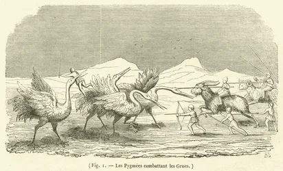 The Pygmies Fighting the Cranes