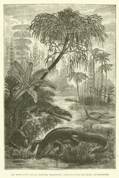 Inhabitants of the Triassic Period, Capitosaurs, Belodon, Nothosaurus