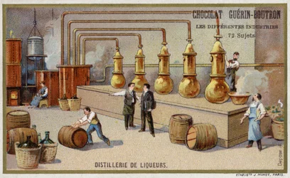 Liquor distillery