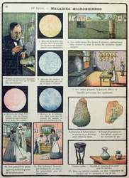 Louis Pasteur and Bacterial Diseases, from Les Sciences Physiques et Naturelles, Paris, 1908