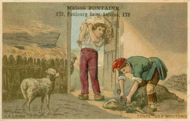 Maison Fontaine trade card, sheep shearing