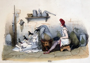 Marianne: analysis of the pear - caricature about Louis Philippe 1st