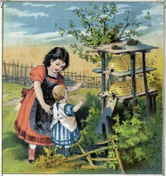 Martha shows the work of the bees in the hive to her little sister. From 
