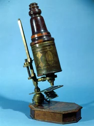 Microscope