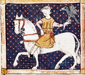 Month of April: Falconer