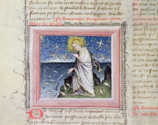 Creation of the Animals, from the Bible des Grands Augustins