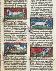 Sea Monsters, from 