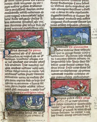 Sea Monsters, from 